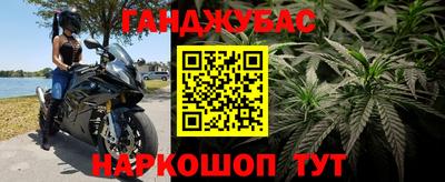 стаф Моздок