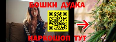 стаф Моздок