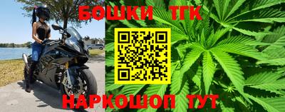 стаф Моздок