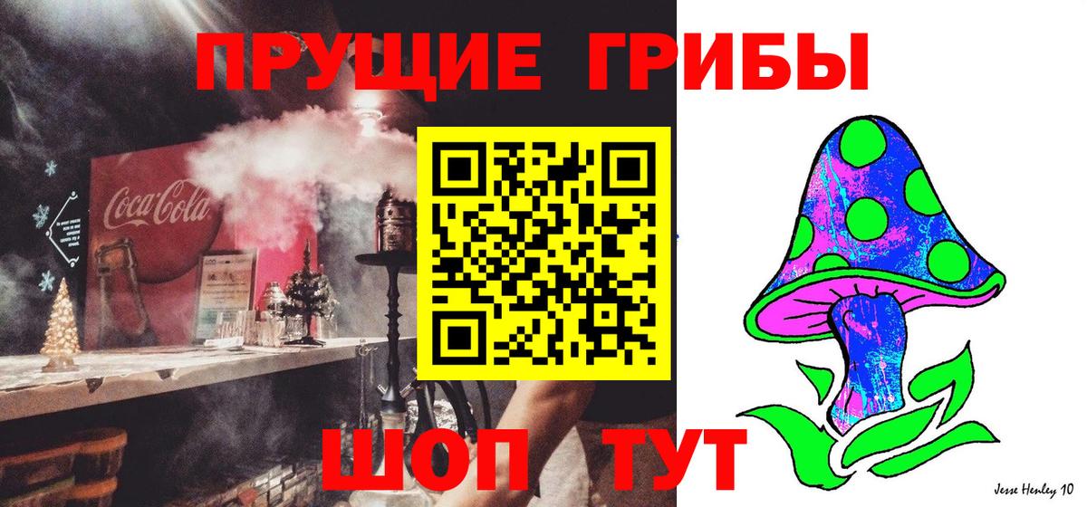 Топки  Галлюциногенные грибы Psilocybe  Вход с VPN 