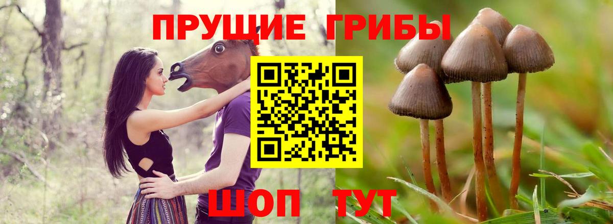 Галлюциногенные грибы мицелий Топки